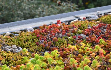 the cost of Old Blair green roof installation