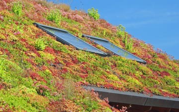 Old Blair living roof systems